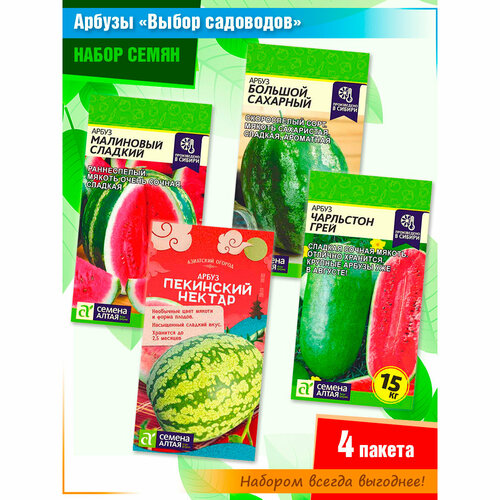 ������ ������ ����� ����� ������� 