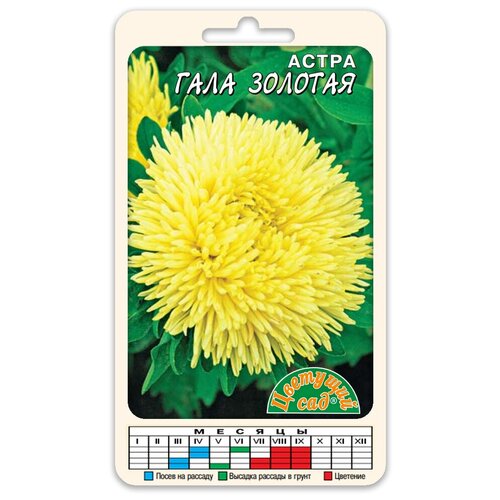 ������ ������ ����� ����� ���� ������� ������������� (������ �������� ��� 0,1 �) ����