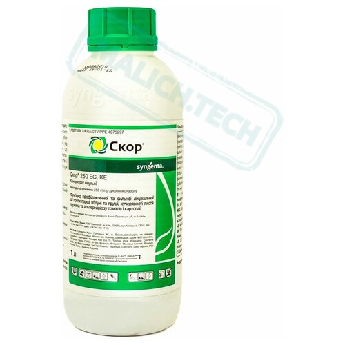 ������ ������ ����, �� �������� (1 �) ����