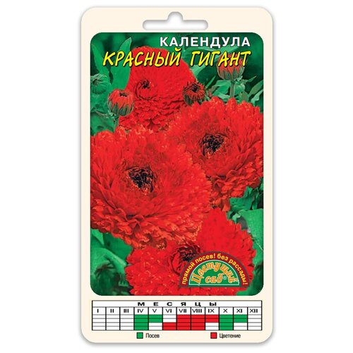 ������ ������ ����� ��������� �������� ������� ������ (������ �������� ��� 0,3 �) ����