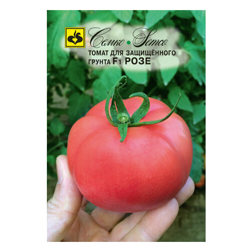 ������ ������ ������ ����� ���� F1 ��� � ������� 20�� ����� ������ (�����) ����