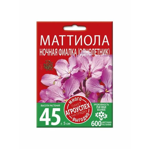 ������ ������ �������� ������ ������, ������ ��������� �����-������� 2� ����