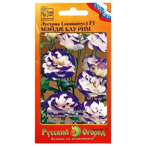 ������ ������ ������ ������� ������ ������� (���������) F1 ����� ��� ���, 5��. ����