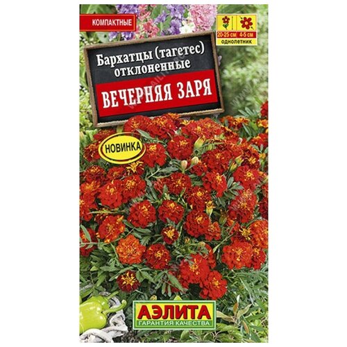 ������ ������ ������. �������� ����������� 