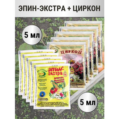 ������ ������ ����-������ 1 �� + ������ � ������������� 1 ��, �������� 5+5 ����