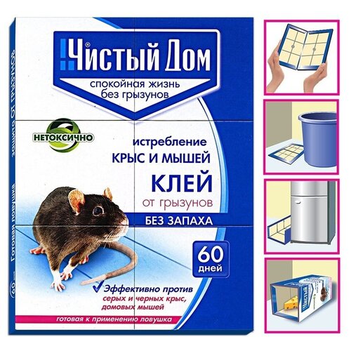 ������ ������ ������� �������- ���� �� �������� - ������ ��� 40 ��. ����