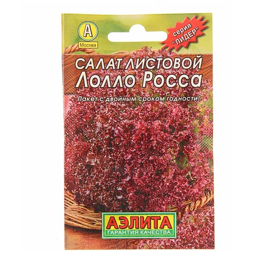 ������ ������ ������ ����� ����� ����� �������� 0,5 ��. ����