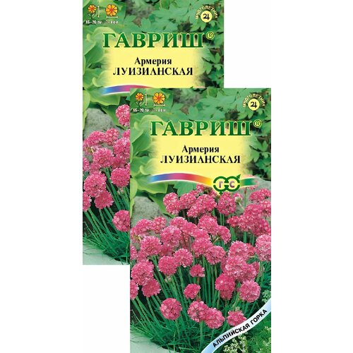 ������ ������ ������� ����������� ���������� (0,02 �), 2 ������ ����