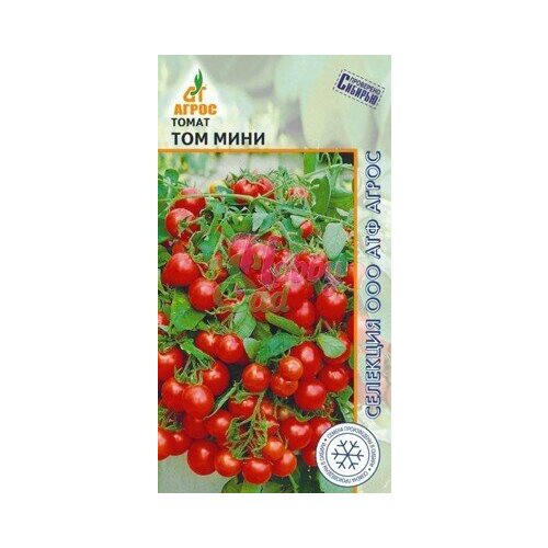 ������ ������ ������ ����� ��� ���� 10�� ��� ������ (�����) ����