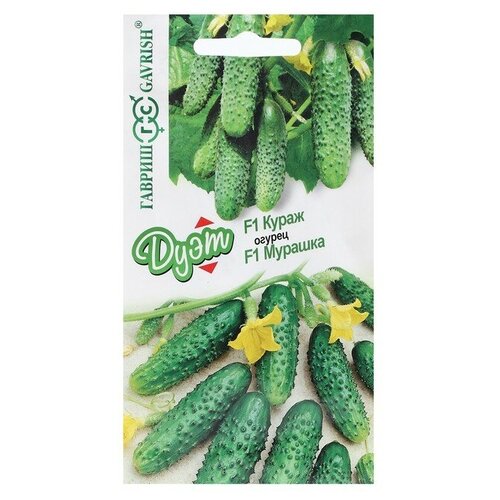 ������ ������ 1��. ����� ����� ������ ����� F1, 10�� � ������ ������� F1, 10�� ������, ���� ����