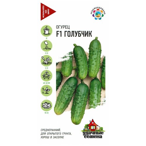 ������ ������ ������. ������ 