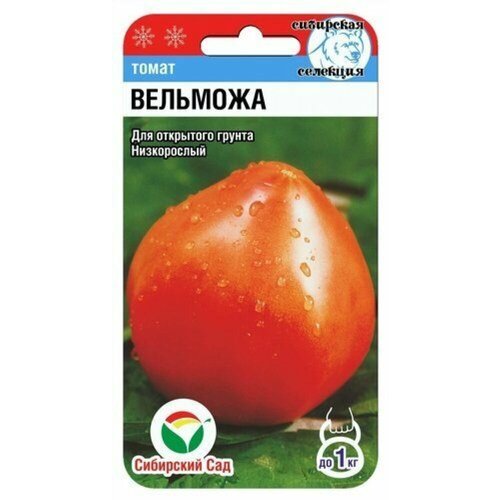 ������ ������ ������ ����� �������� (���������) 20�� ��� (��������� ���) ����