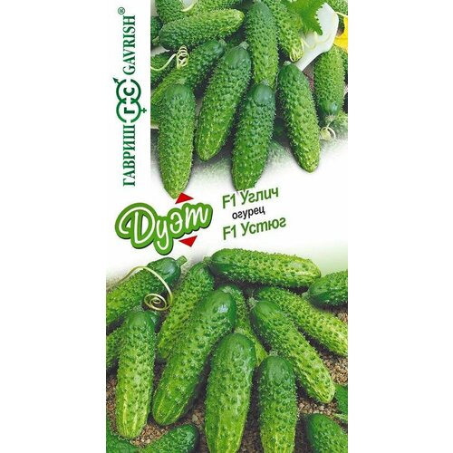 ������ ������ ������ ������ ����� F1+����� F1 20�� (������) ����� ���� ����