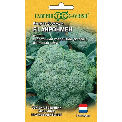 ������ ������ ������ ������� �������� �������� F1 10�� (������) ����