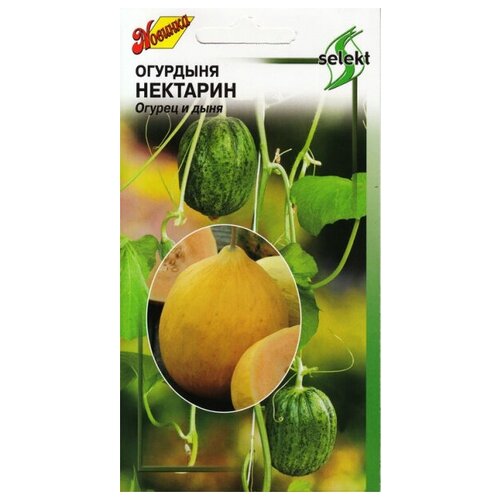 ������ ������ �������� �������� ��������, 8 ����� ����