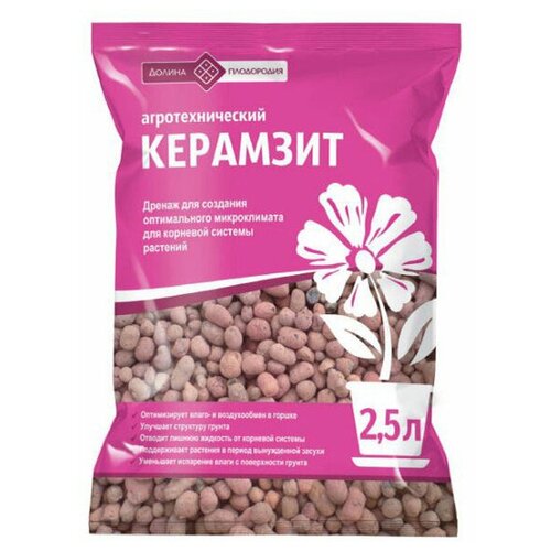 ������ ������ �������� 2,5 � ����