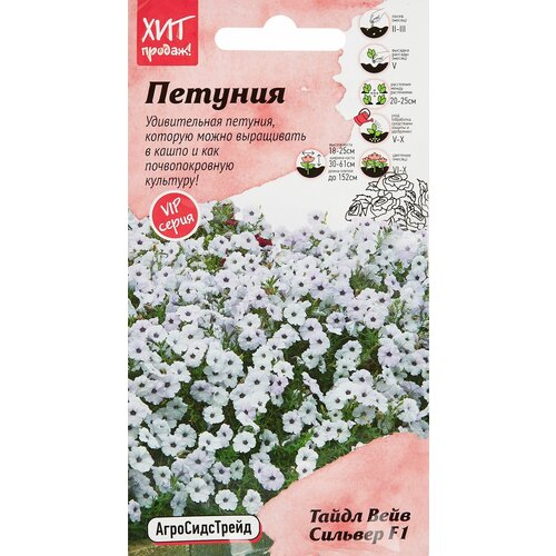 ������ ������ ������� 