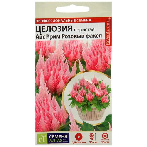 ������ ������ ������ ������� ��� ���� ������� ����� �������� ���������� 10 ��./��. ����