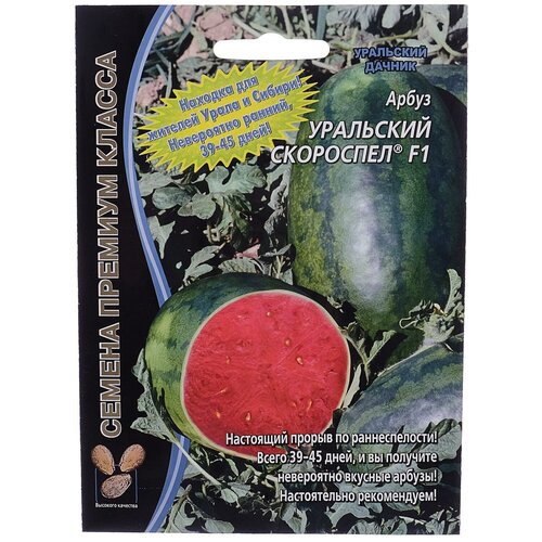 ������ ������ ������ ����� 