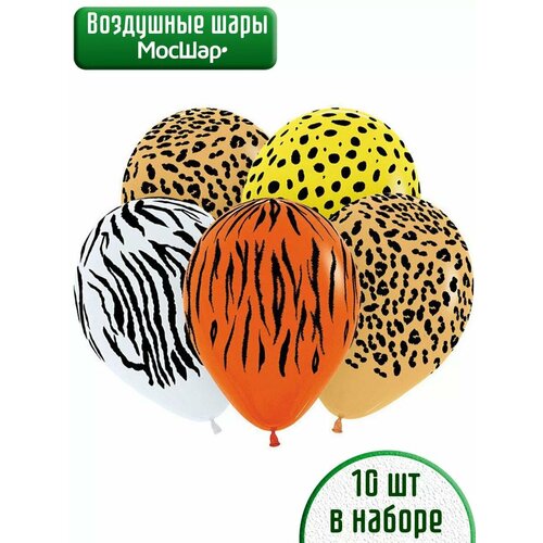 ������ ������ ������������/10�� ����