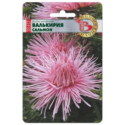 ������ ������ ������ ���������� ����� ��������� ������ ������� ����