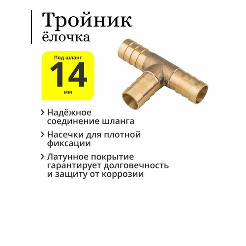 ������ ������ ������� �������� ������ ��� �������, 14 �� ����