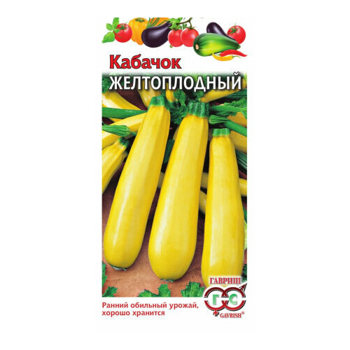 ������ ������ ������ ������� ������������ 2� ������ ������ (������) ����