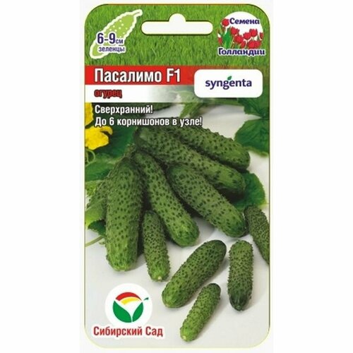 ������ ������ ������ ������ �������� F1 (������������������) (��������� ���) 5�� ����