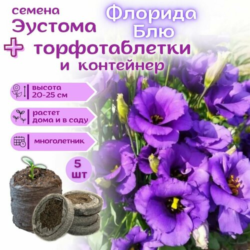 ������ ������ ������ ������� ����������� ����������� ����������, ��������� ��������� + �������� �������� Jiffy � �������, 5�� ����