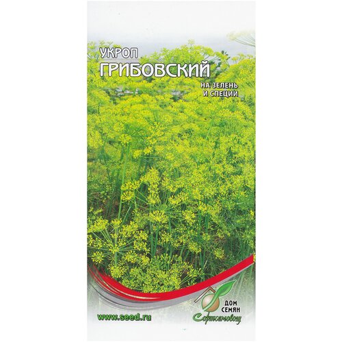 ������ ������ ����� ����������, 1200 ����� ����