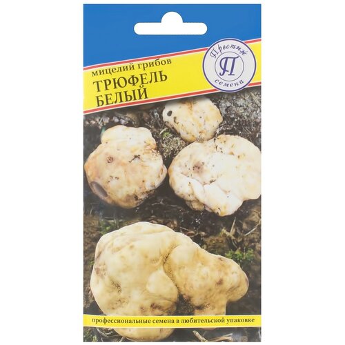 ������ ������ ������ ���� ������� ����� ����