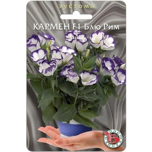 ������ ������ ������ ������� (���������) ��������� 