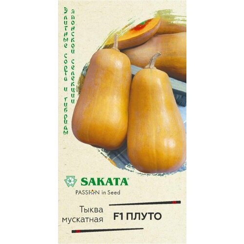 ������ ������ ������ ����� ����� ��������� 3�� ������ (������) ������ �22 ����