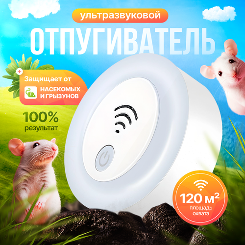 ������ ������ ������������ ����� � ���� ��������������, ������������ ��������� ����