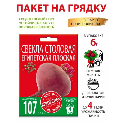 ������ ������ ������ ������ ���������� ������� 6� ����