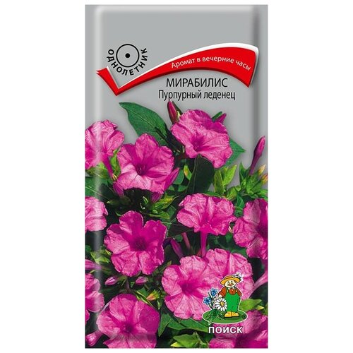 ������ ������ ��������� ��������� ������� ����