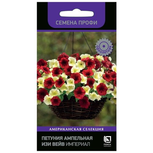 ������ ������ ������ ������� ��������� ��� ���� �������� ��������� ������ ����� ���������� 5 ��. ����