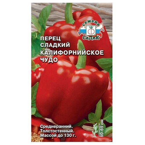 ������ ������ ����� ������� �������������� ���� ����