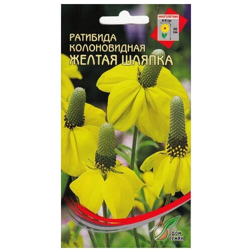 ������ ������ �������� ����������� ������������ ������ �����, 55 ����� ����