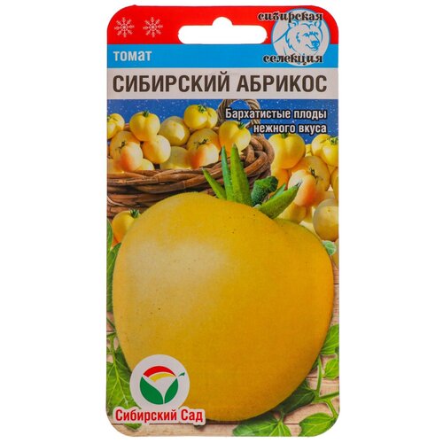 ������ ������ ��������� ������� 20�� ����� (��� ���) ����