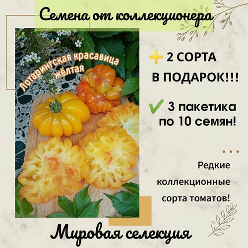 ������ ������ ����� ������������ ��������� �����, ������� ��������, ������������� ���� ����