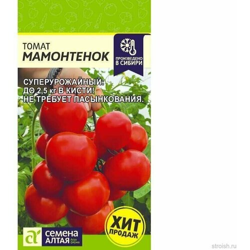 ������ ������ ����� ���������� 5�� ������ ����� ����