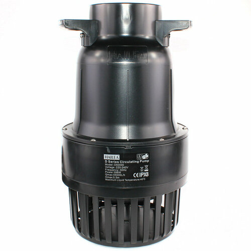      Hailea D 50000 (50000 /.   6 . . 398 .) 