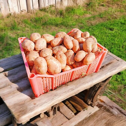 ������ ������ ������ ��������� ���������� 5�� ����