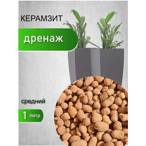 ������ ������ �������� ��� �������� � ������ 1 � ����