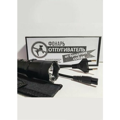 ������ ������ ��������������� ����� ����