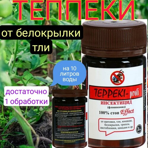 ������ ������ ���������� ������������� 