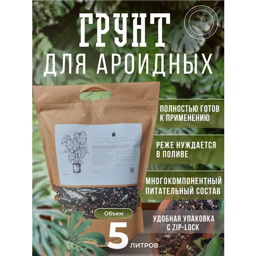 ������ ������ ����� 