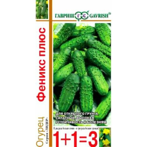 ������ ������ ������ ������ ������ ���� 1� �� (������) 1+1 ����