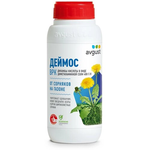 ������ ������ Avgust �������� �� �������� �� ������ Avgust ������, ���, 500 �� ����